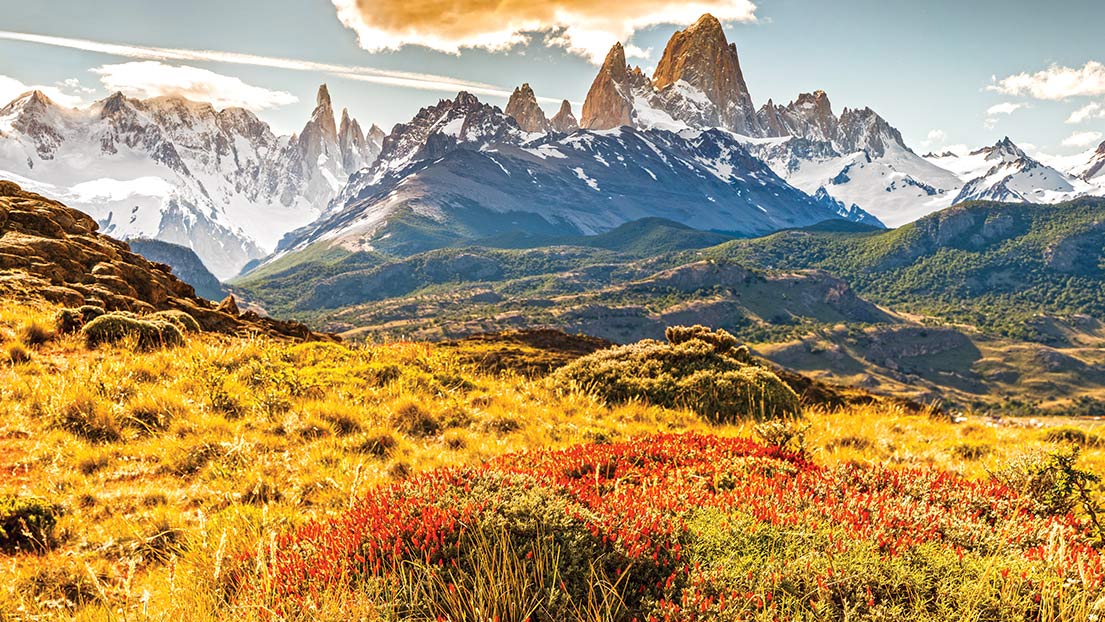 jeg er enig pumpe uren Patagonia's Environmental and Family-Leave Policies Aim to Create Positive  Change - ESG News