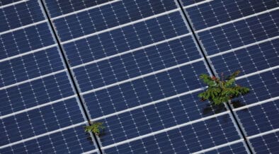 U.S. EPA Launches $7 Billion Program To Bring Solar Energy to Low ...