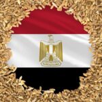 OPEC Fund provides US$10 million to support Food Security in Egypt
