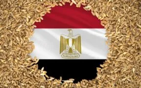 Le Fonds OPEP fournit 10 millions de dollars pour soutenir la sécurité alimentaire en Égypte