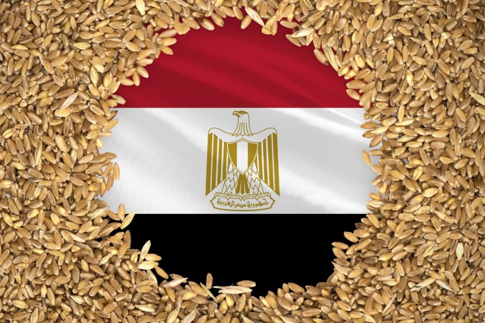 OPEC Fund provides US$10 million to support Food Security in Egypt