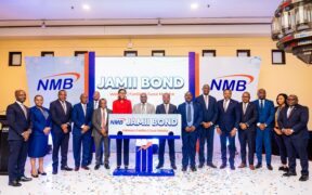 NMB Green Bonds