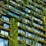 IFC Green Construction