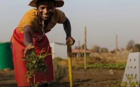 South Africa's Shoprite Calls for Action to Counter Food Insecurity