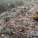 WWF Plastic Pollution