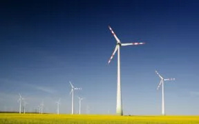 Electricity Storage