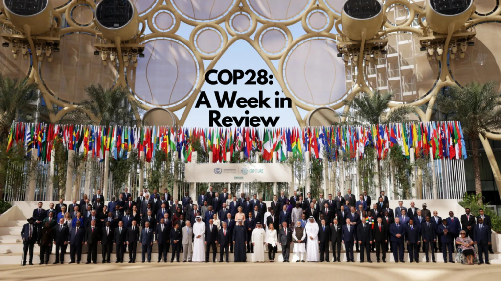 Tim Mohin- COP28 IN REVIEW