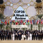 Tim Mohin- COP28 IN REVIEW