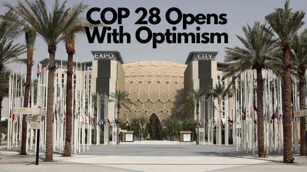 Tim Mohin- COP28 Opens with optimism