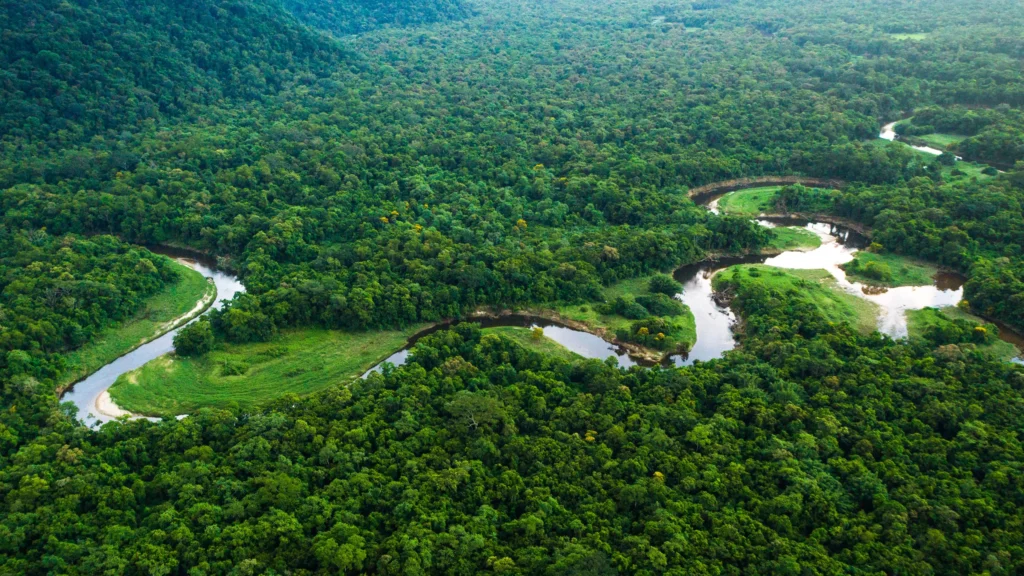 WWF and IKEA have initiated two projects to address forest degradation in Colombia and Brazil
