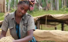 déchets alimentaires