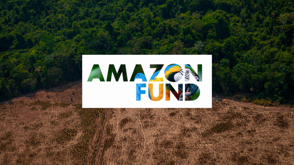 Amazon Fund for rainforest received $640 million in new pledges in 2023