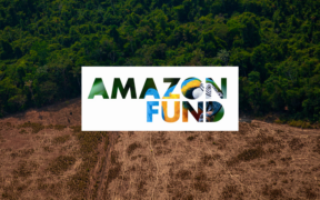 Der Amazon Fund for Rainforest erhielt im Jahr 640 neue Zusagen in Höhe von 2023 Millionen US-Dollar
