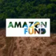 Amazon Fund for rainforest received $640 million in new pledges in 2023