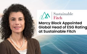 Sustainable Fitch Appoints Marcy Block as Global Head of ESG Ratings