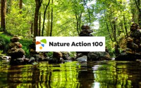 Ação Natureza 100