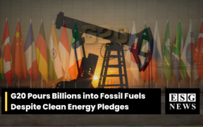 G20 investiert Milliarden in fossile Brennstoffe trotz Zusagen zu sauberer Energie