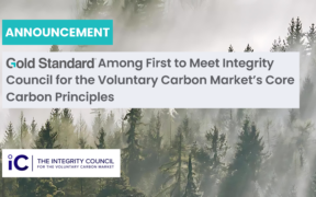 Padrão Ouro entre os primeiros a cumprir os Princípios Fundamentais de Carbono do Conselho de Integridade para o Mercado Voluntário de Carbono