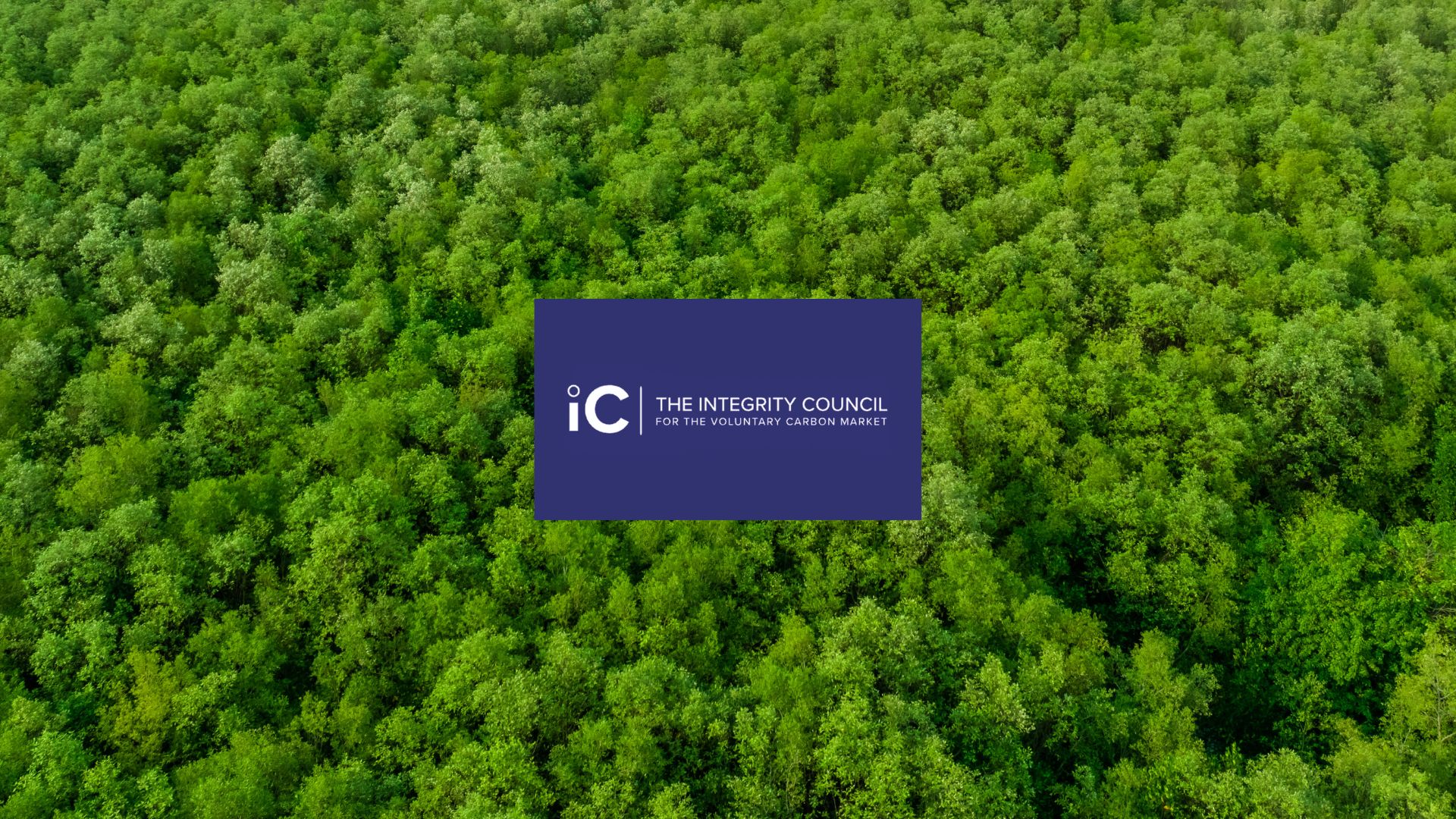 Integrity Council Issues First High-Integrity CCP-Labeled Carbon ...