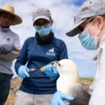 Conservation