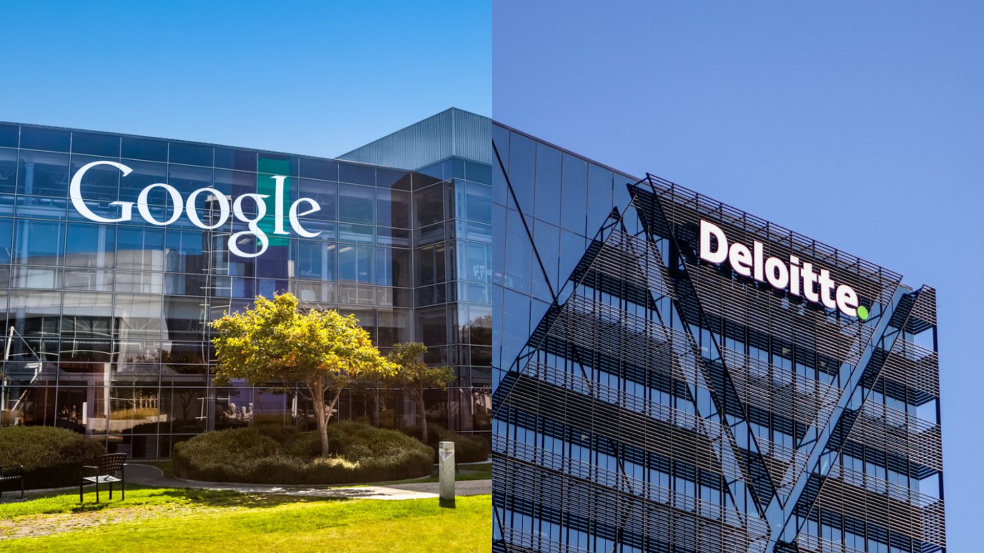 Google and Deloitte are driving climate protection with digital solutions