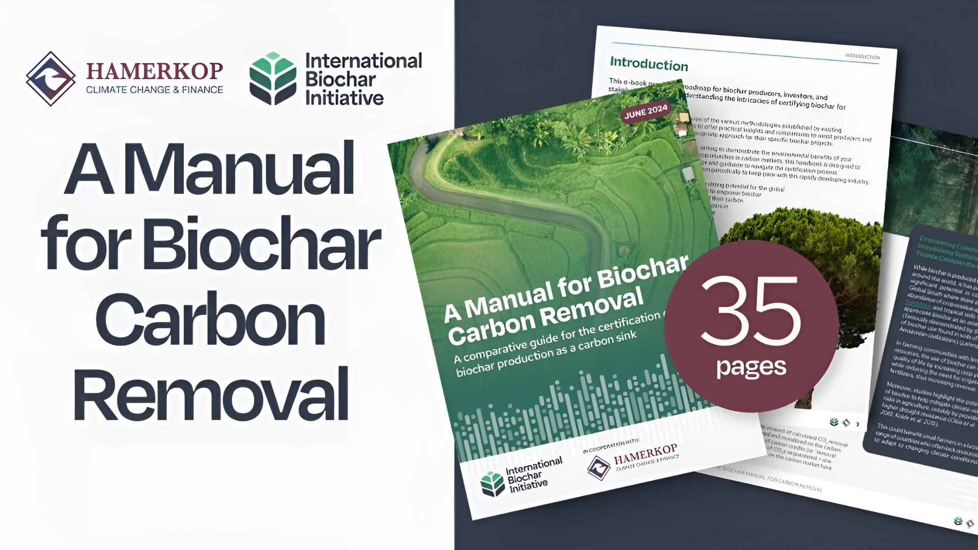 International Biochar Initiative Archives - ESG News