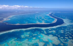 Great Barrier Reef Facing Catastrophic Damage as Oceans Reach Hottest Temperatures in 400 Years, Scientists Warn