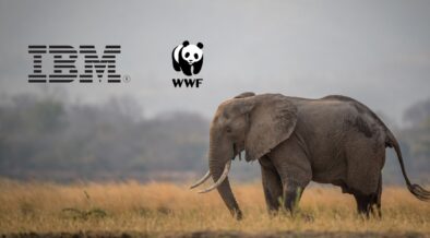 IBM and WWF-Germany Collaborate to Build New AI Solution to to Enhance ...