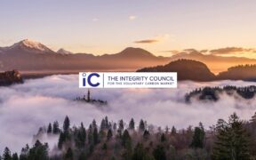 Integrity Council