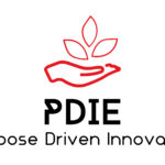 PDIE Group Logo