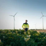 83% of CSOs See C-Suite Collaboration Driving Ambitious Sustainability Goals