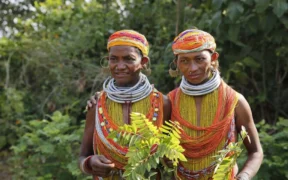 Brazil state to consult Indigenous people on carbon credits sale