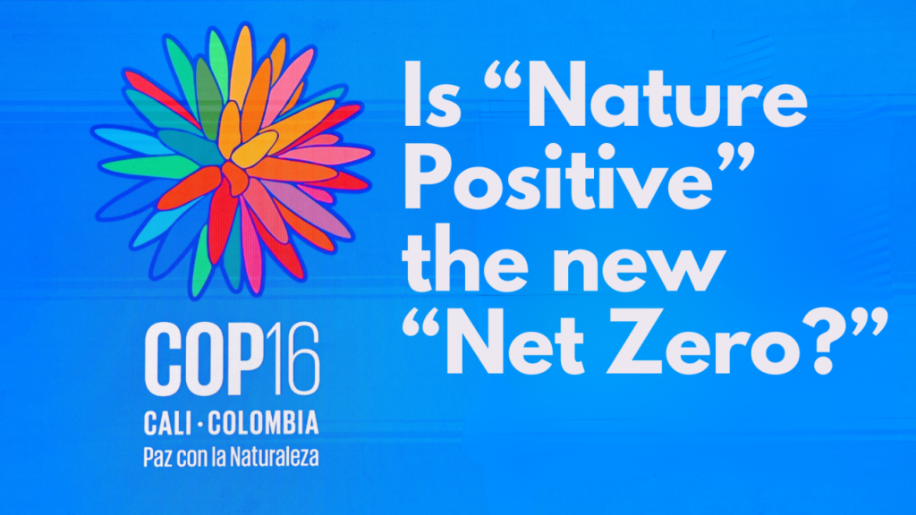 Is Nature Positive the New Net Zero