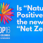 Is Nature Positive the New Net Zero
