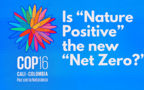 Is Nature Positive the New Net Zero