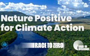 Over 450 Businesses Advance Nature Positive Solutions to Halve Emissions by 2030