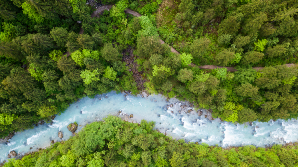 $737 Billion Annual Nature-Based Finance Gap Puts Two-Thirds of Asia's GDP at Risk, CDP Report Finds