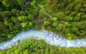 Ежегодный дефицит финансирования природоохранной деятельности в размере 737 миллиардов долларов ставит под угрозу две трети ВВП Азии, говорится в отчете CDP