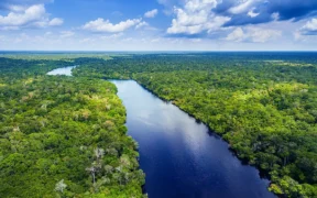 Amazon Deforestation in Brazil Hits 9-Year Low, Reports Government