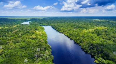 Amazon Deforestation in Brazil Hits 9-Year Low, Reports Government