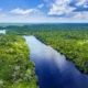 Amazon Deforestation in Brazil Hits 9-Year Low, Reports Government