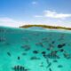 Bahamas Unlocks $124 Million for Ocean Protection via Debt Swap