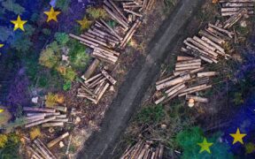 EU Parliament Agree to Postpone, Soften Deforestation Ban on Imports