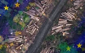 EU Parliament Agree to Postpone, Soften Deforestation Ban on Imports