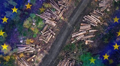 EU Parliament Agree to Postpone, Soften Deforestation Ban on Imports