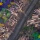 EU Parliament Agree to Postpone, Soften Deforestation Ban on Imports