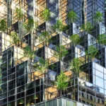Only 41% of Global Companies Have a Published Climate Transition Plan: EY Report
