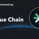 ESG Blockchain Trrue Secures $10M GEM Digital Investment