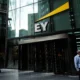 EY Survey: 85% of Investors See Greenwashing as a Growing Problem in ESG Reporting