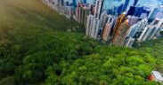 Hong Kong Mandates Full Sustainability Reporting for Public Entities by 2028